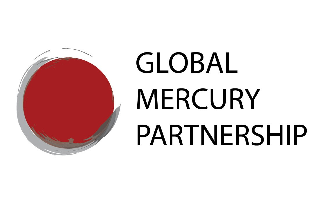 Global Mercury Partnership (GMP)